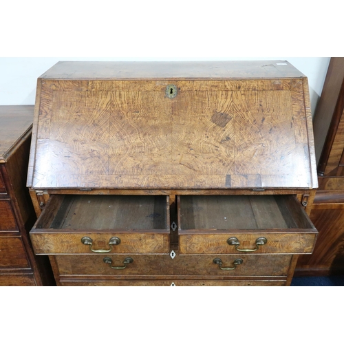 16 - A 19th century elm veneered fall front writing bureau with fitted interior over two short over three... 