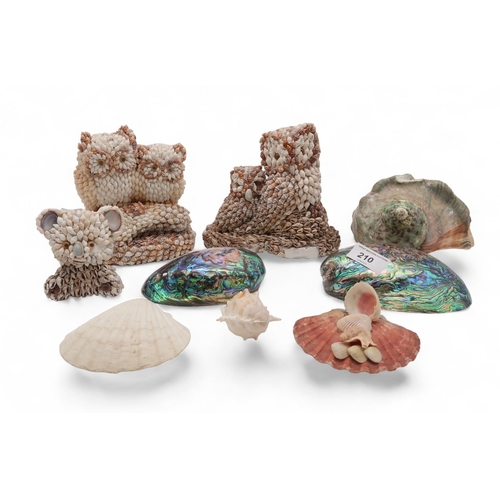 210 - A collection of cowrie shell ornaments, two modelled as owls, one as a koala, two Fiordland paua she... 