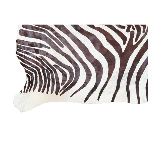 2179 - A 20TH CENTURY ZEBRA PATTERNED COW HIDE RUG 211cm long x 187cm wide (measured from widest points)... 