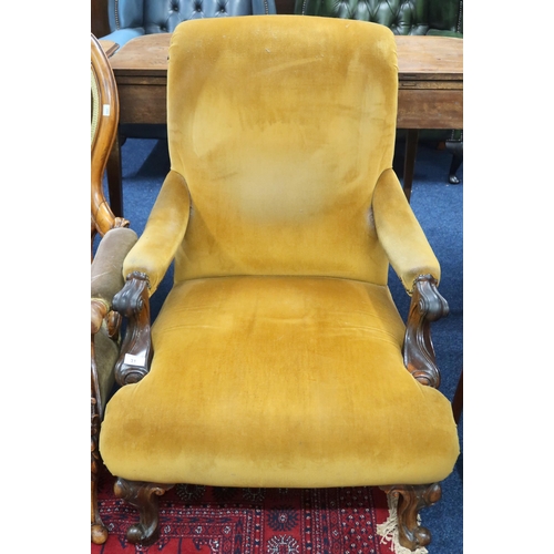 31 - A Victorian walnut framed mustard upholstered scrolled back library armchair with carved arms and su... 