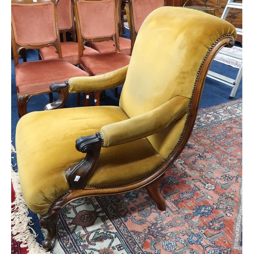 31 - A Victorian walnut framed mustard upholstered scrolled back library armchair with carved arms and su... 