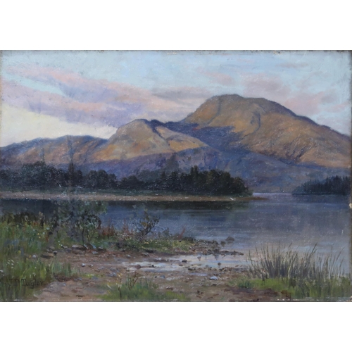 943 - SCOTTISH SCHOOL HIGHLAND SUNSET Oil on canvas, signed 'J.D. Taylor' lower right, 25 x 35cm... 