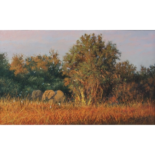 2997 - TONY FORREST (BRITISH B.1961)DELTA EVENING (BOTSWANA)Oil on canvas, signed lower right, 25 x 41cm (9... 