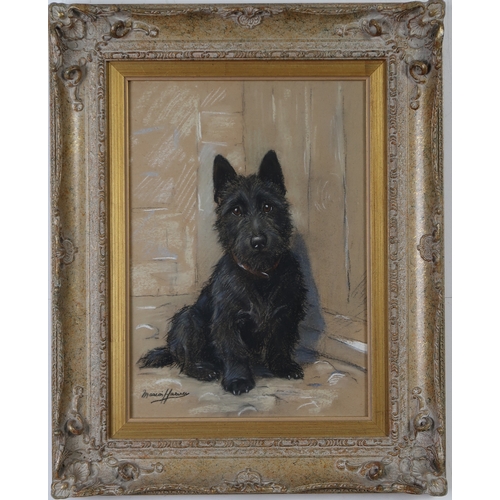 2998 - MARION HARVEY (SCOTTISH 1886-1971)SCOTTIE DOGPastel on buff paper, signed lower right, 34.5 x 24.5cm... 