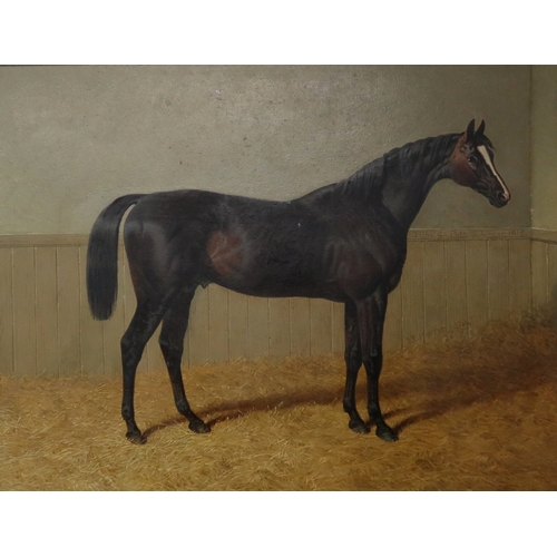 3010 - JOHN FREDERICK HERRING SR (BRITISH 1795-1865)FILHO DA PUTA, Winner of the Great St Leger, Doncaster,... 