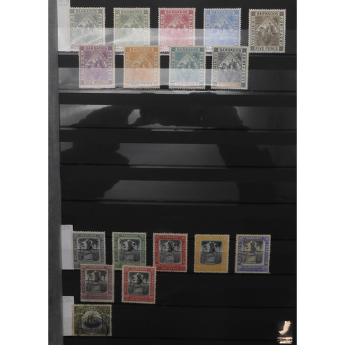 7013 - BRITISH COMMONWEALTH BARBADOS an excellent collection on stock sheets to include  1897 to 1899 sets,... 