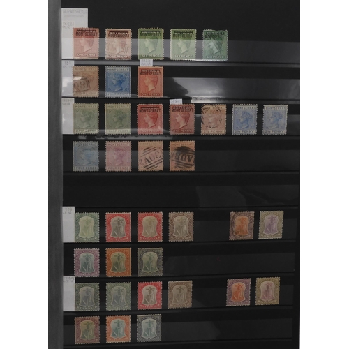 7041 - BRITISH COMMONWEALTH on stock sheets to include MONTSERRAT a comprehensive collection from 1876 with... 