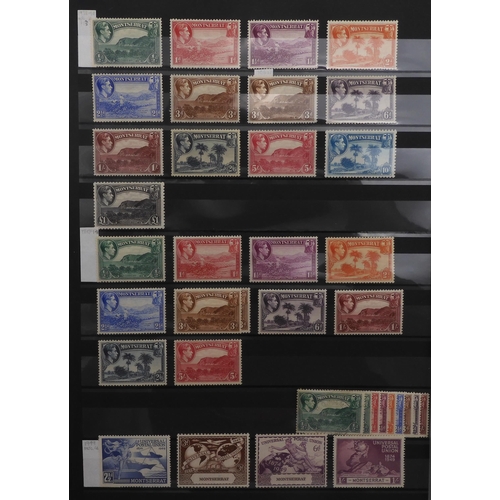 7041 - BRITISH COMMONWEALTH on stock sheets to include MONTSERRAT a comprehensive collection from 1876 with... 