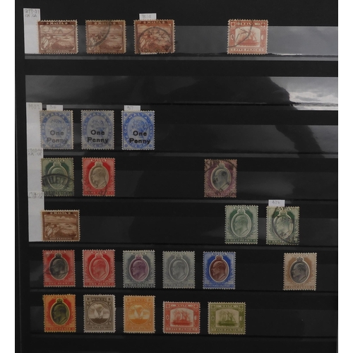 7041 - BRITISH COMMONWEALTH on stock sheets to include MONTSERRAT a comprehensive collection from 1876 with... 