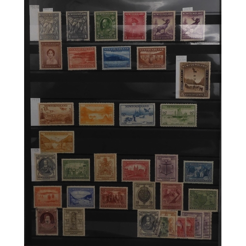 7049 - BRITISH COMMONWEALTH a collection on stock sheets CANADA and CROWN COLONIES a collection on stock sh... 