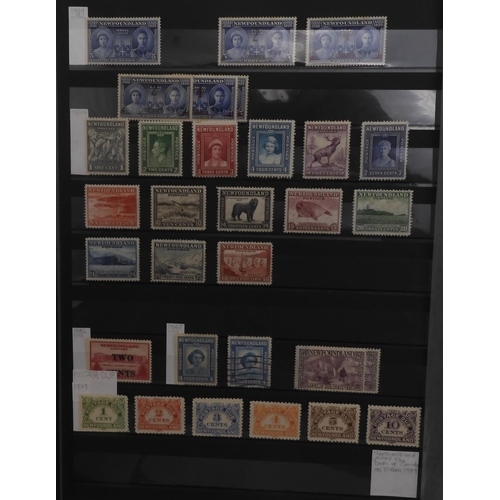 7049 - BRITISH COMMONWEALTH a collection on stock sheets CANADA and CROWN COLONIES a collection on stock sh... 