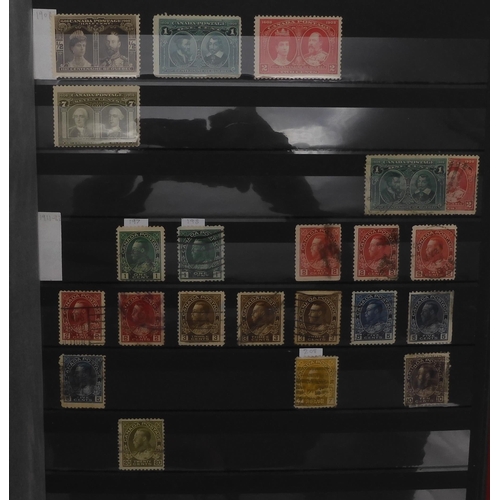 7049 - BRITISH COMMONWEALTH a collection on stock sheets CANADA and CROWN COLONIES a collection on stock sh... 