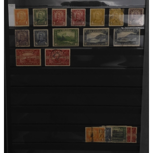 7049 - BRITISH COMMONWEALTH a collection on stock sheets CANADA and CROWN COLONIES a collection on stock sh... 