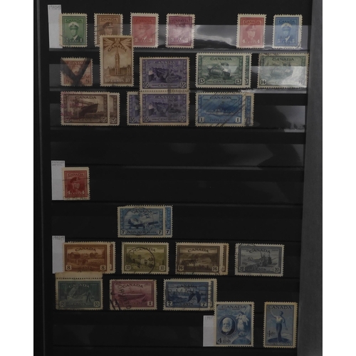 7049 - BRITISH COMMONWEALTH a collection on stock sheets CANADA and CROWN COLONIES a collection on stock sh... 