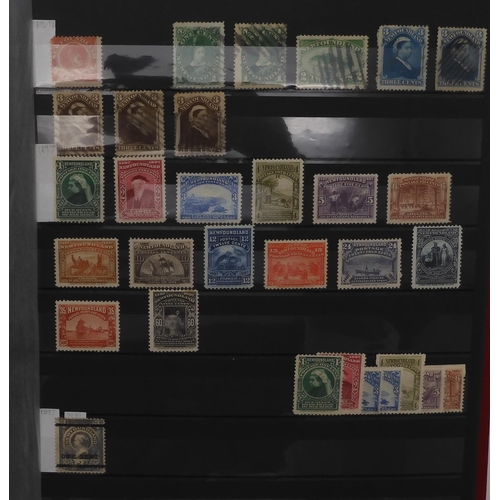 7049 - BRITISH COMMONWEALTH a collection on stock sheets CANADA and CROWN COLONIES a collection on stock sh... 