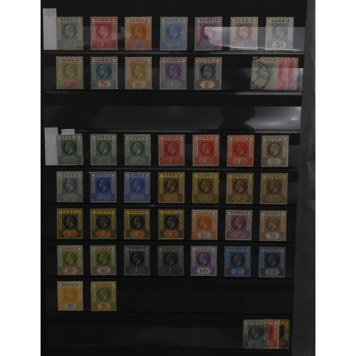 7053 - BRITISH COMMONWEALTH GAMBIA a fairly comprehensive collection in stock sheets to include sg5w used, ... 