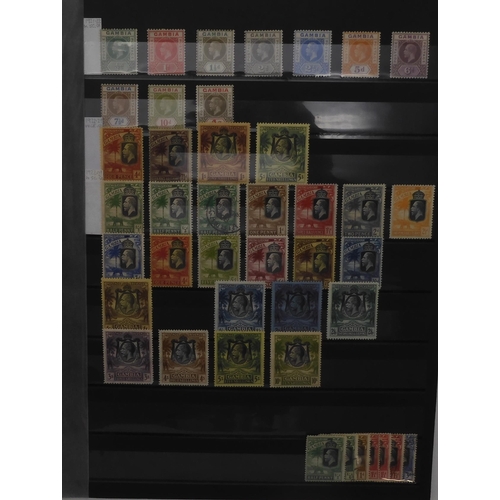 7053 - BRITISH COMMONWEALTH GAMBIA a fairly comprehensive collection in stock sheets to include sg5w used, ... 