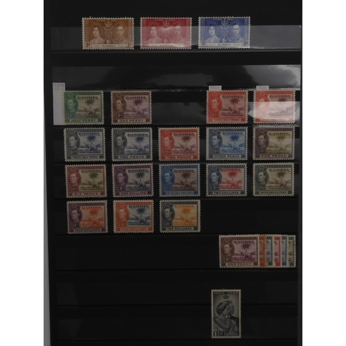 7053 - BRITISH COMMONWEALTH GAMBIA a fairly comprehensive collection in stock sheets to include sg5w used, ... 