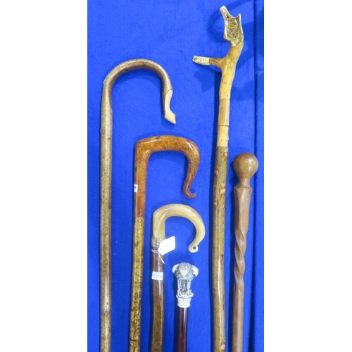 439 - A collection of shepherds' crooks and walking sticks, to include an example with handle inscribed 