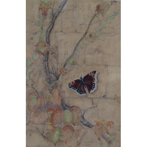 926A - LILY BLATHERWICH (ENGLISH 1854-1934) RED BUTTERFLY Watercolour, signed lower left, 34 x 22... 