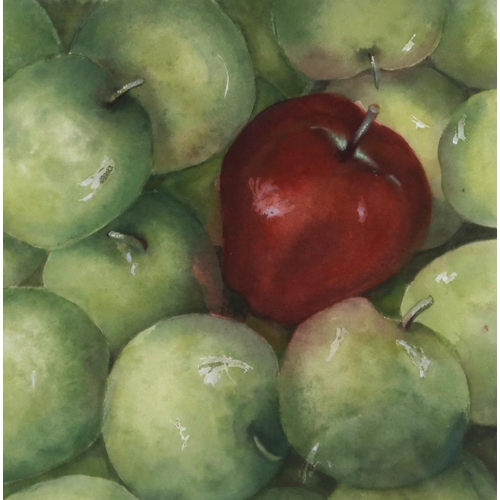 980 - CONTEMPORARY SCHOOL APPLES Watercolour, 30 x 30cm