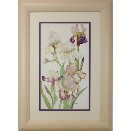 956 - EUPHEN ALEXANDER (SCOTTISH 1917-2008) IRISES Ink and watercolour, signed lower right, 53.5... 