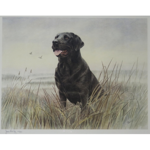 930 - JAMES ROWLEY (20th CENTURY) BLACK LABRADOR Print multiple, signed lower left, 40 x 50cm&nb... 