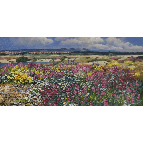 934 - NICHOLAS ENGLEFIELD (20th CENTURY) FLOWERING CRUMBLES Acrylic on canvas, 27 x 55cm  Together with an... 