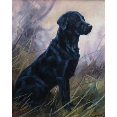 940 - JOHN TRICKETT (ENGLISH b.1952) BLACK LABRADOR Oil on board, signed lower right, 50 x 39cm... 