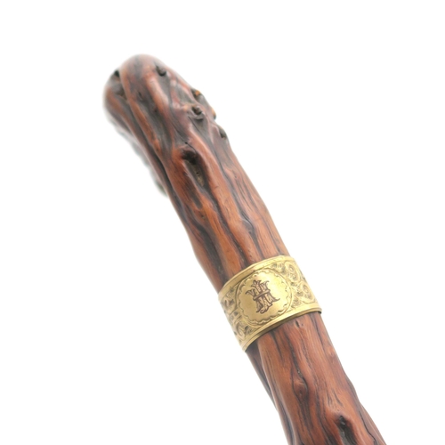 484 - A substantial gnarled wood walking stick with 18ct gold plated mounts, the collar monogrammed 