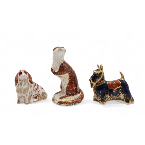 238 - Three Royal Crown Derby paperweights including Scottish Terrier, Playful Otter and Cavalier King Cha... 