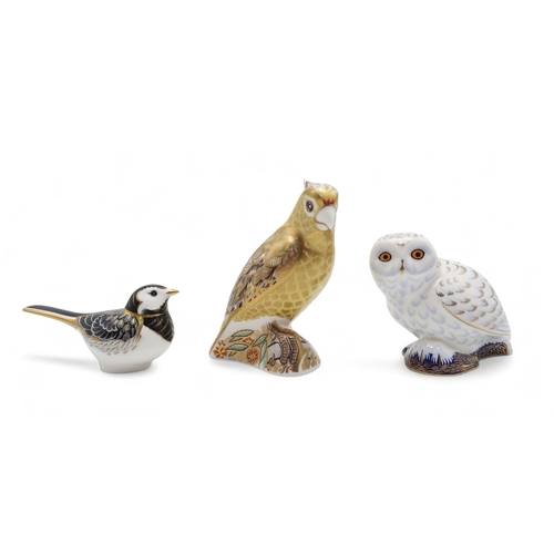 239 - Three Royal Crown Derby paperweights including Citron Cockatoo, Snowy Owl and Pied Wagtail, all with... 