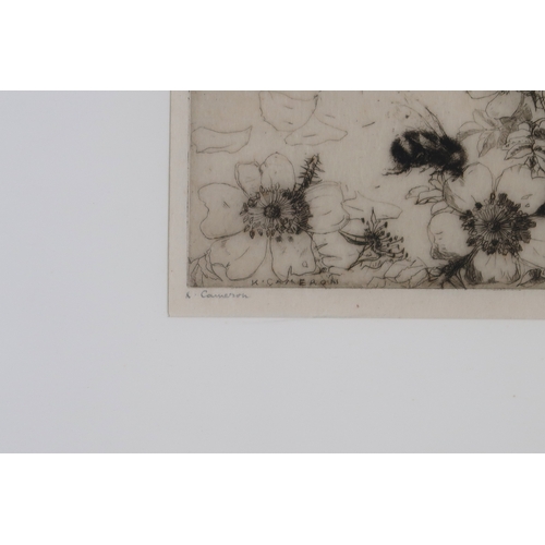 2917 - † KATE CAMERON RSW RE (SCOTTISH 1874-1965)BEES ON BLOSSOMDrypoint, signed in pencil, 15 x 17.5cm (6 ... 