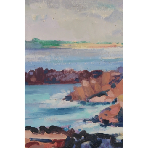 2927 - PETER GRAHAM ROI RSW (SCOTTISH B.1959)IONA FROM FIONNPHORT BEACH Oil on board, signed lower lef... 