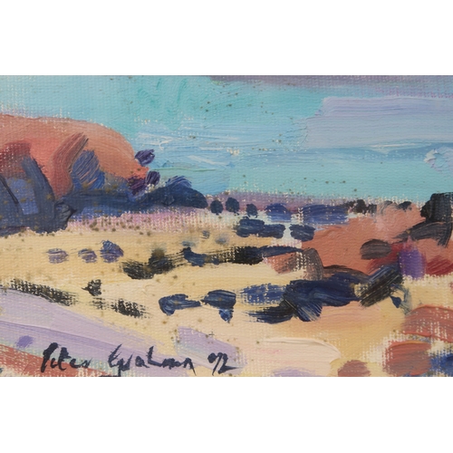 2927 - PETER GRAHAM ROI RSW (SCOTTISH B.1959)IONA FROM FIONNPHORT BEACH Oil on board, signed lower lef... 