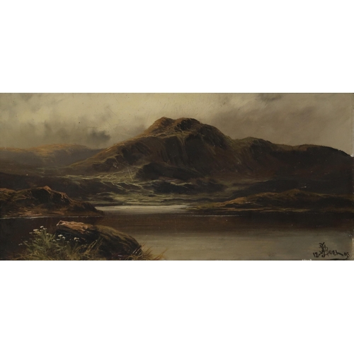 928 - JOHN HENRY BOEL (BRITISH 19th CENTURY) MOUNTAIN LAKE SCENE Oil on canvas, signed lower rig... 