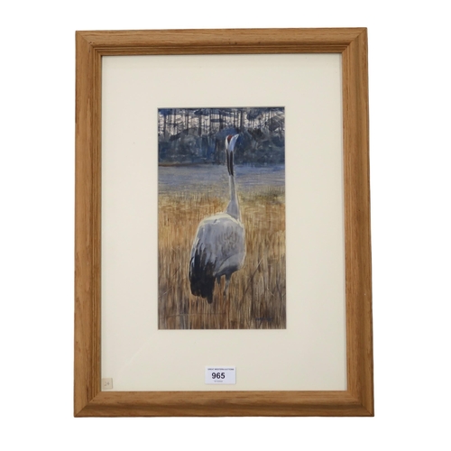 965 - DARREN REES (ENGLISH b.1961) CRANE BIRD Watercolour, signed lower right, 28 x 16cm ... 