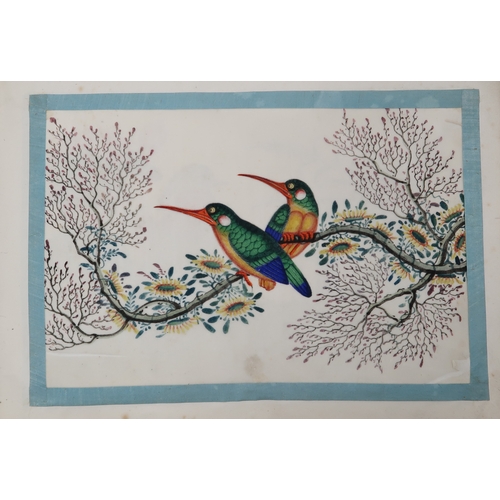 2425 - A CHINESE EXPORT ORNOTHOLOGICAL ALBUM OF TWELVE Paintings of exotic birds in watercolour on pith pap... 