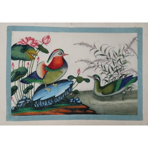 2425 - A CHINESE EXPORT ORNOTHOLOGICAL ALBUM OF TWELVE Paintings of exotic birds in watercolour on pith pap... 