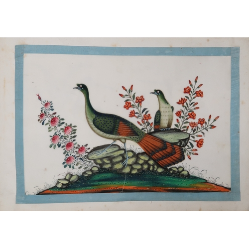 2425 - A CHINESE EXPORT ORNOTHOLOGICAL ALBUM OF TWELVE Paintings of exotic birds in watercolour on pith pap... 