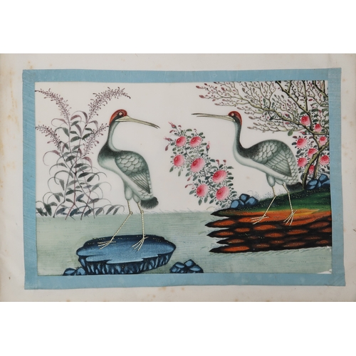 2425 - A CHINESE EXPORT ORNOTHOLOGICAL ALBUM OF TWELVE Paintings of exotic birds in watercolour on pith pap... 