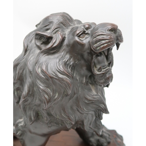 2427 - A JAPANESE BRONZE MODEL OF A ROARING LION Standing on all fours and mounted on a craved hardwood pla... 