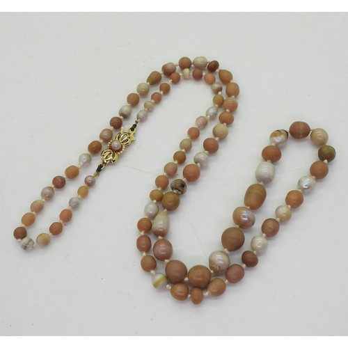 2735 - SCOTTISH RIVER PEARLSin shades of brown, cream and pink, these rare Scottish river pearls, are gentl... 