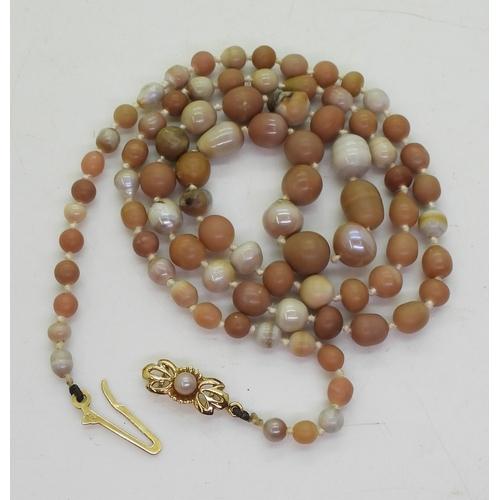 2735 - SCOTTISH RIVER PEARLSin shades of brown, cream and pink, these rare Scottish river pearls, are gentl... 