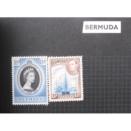 7012 - A worldwide stamp collection in a stock book and albums