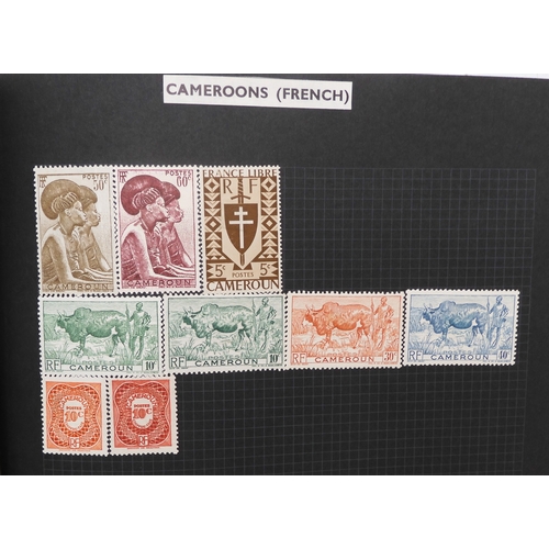 7012 - A worldwide stamp collection in a stock book and albums