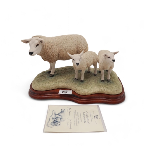 267 - A Border Fine Arts limited edition model Texel Ewe and Lambs, model No. B0658 by Jack Crewdson, no 6... 