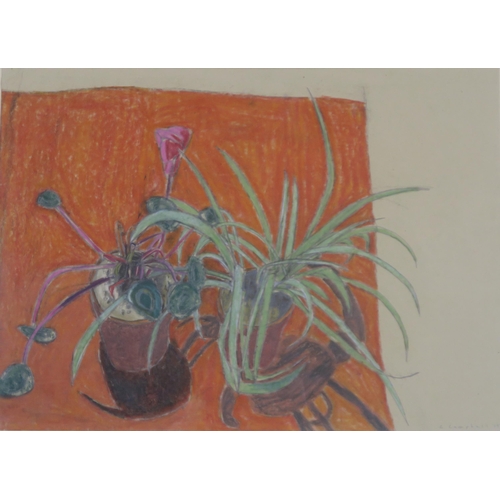 912 - SCOTTISH CONTEMPORARY SCHOOL STILL LIFE WITH HOUSEPLANTS   Pastel on paper, sign... 