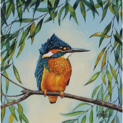 960 - NEIL MACLEOD (SCOTTISH CONTEMPORARY) KINGFISHER Watercolour, signed lower right, 27 x 27cm Together ... 