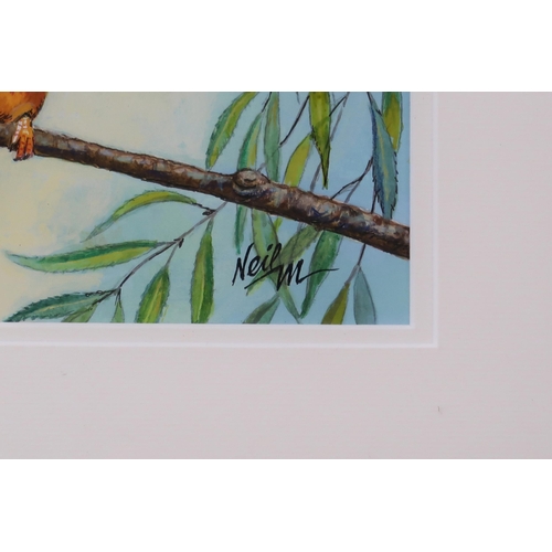 960 - NEIL MACLEOD (SCOTTISH CONTEMPORARY) KINGFISHER Watercolour, signed lower right, 27 x 27cm Together ... 